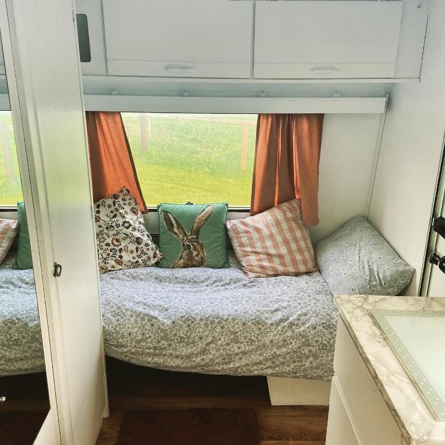 קילקני Cosy Caravan At Carrigeen Glamping מראה חיצוני תמונה